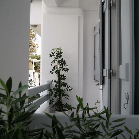 Aelia Apartments Naxos City 外观 照片