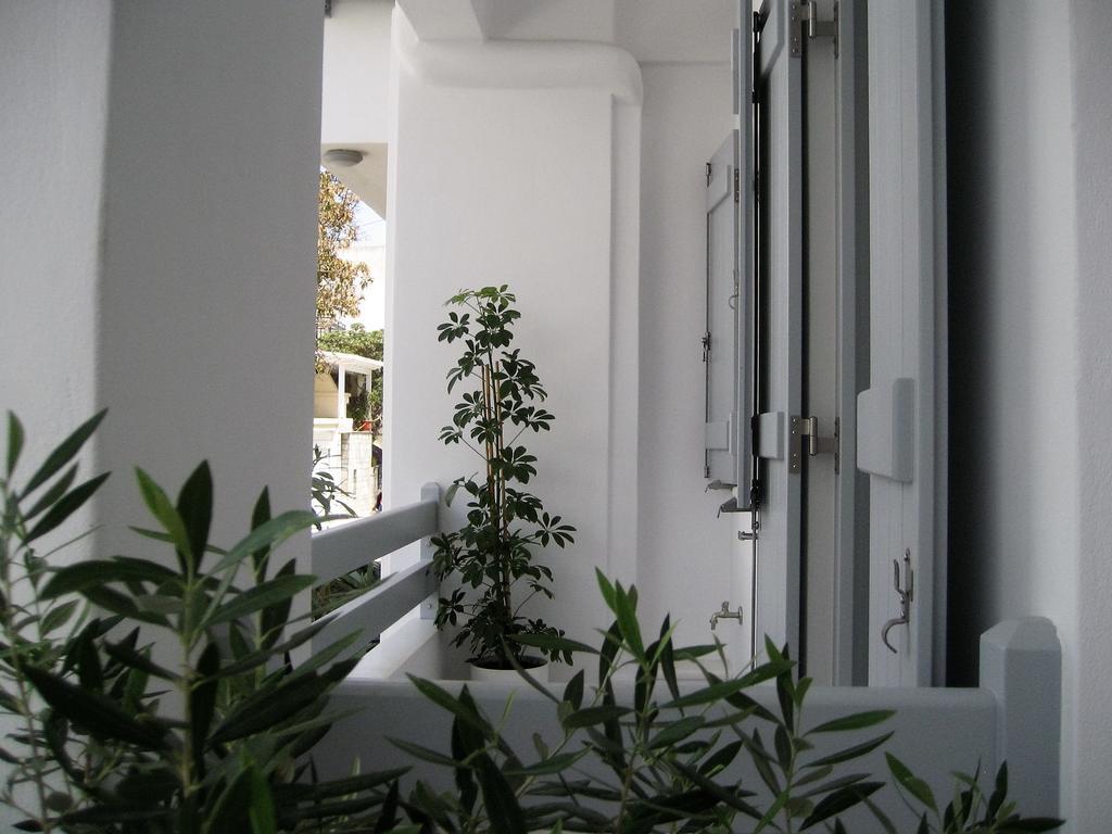 Aelia Apartments Naxos City 外观 照片